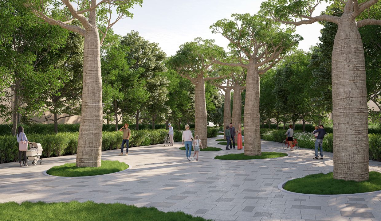 BAOBAB PARK_TREECOURT-min