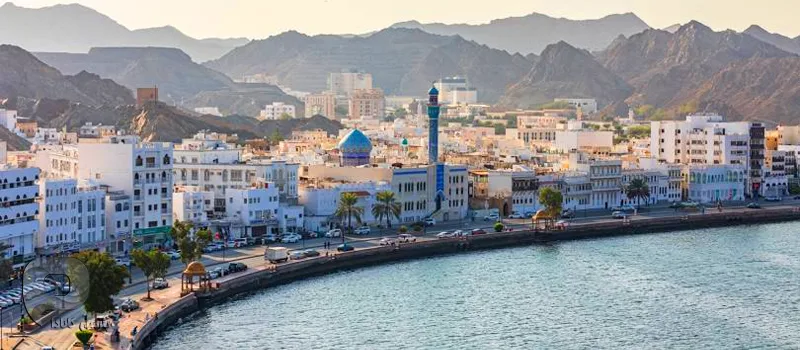 فرهنگ، زبان و جامعه